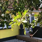B&B Engvanghouse